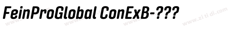 FeinProGlobal ConExB字体转换